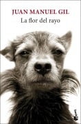 Cover-Bild zum Titel 'La flor del rayo' von 'Juan Manuel Gil'