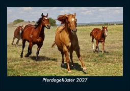 Cover-Bild zum Titel 'Pferdegeflüster 2027 Fotokalender DIN A5' von 'Tobias Schmitt, Kevin Heber'