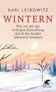 Cover-Bild zum Titel 'Wintern' von 'Kari Leibowitz'