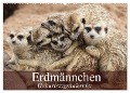 Erdmännchen (Wandkalender 2025 DIN A2 quer), CALVENDO Monatskalender - Elisabeth Stanzer