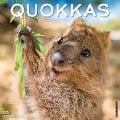 Quokkas 2025 12 X 12 Wall Calendar - Willow Creek Press