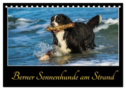Cover-Bild zum Titel 'Berner Sennenhunde am Strand (Tischkalender 2026 DIN A5 quer), CALVENDO Monatskalender' von 'Sigrid Starick'