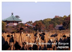 Cover-Bild zum Titel 'Tempel, Schreine und Burgen Japans (Wandkalender 2026 DIN A2 quer), CALVENDO Monatskalender' von 'Roland Irlenbusch'