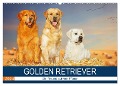 Golden Retriever - Ein Freund auf vier Pfoten (Wandkalender 2024 DIN A2 quer), CALVENDO Monatskalender - Sigrid Starick