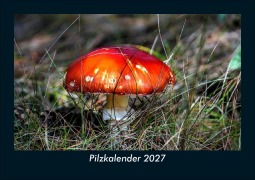 Cover-Bild zum Titel 'Pilzkalender 2027 Fotokalender DIN A5' von 'Tobias Schmitt, Kevin Heber'