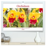 Cover-Bild zum Titel 'Orchideen Feuerwerk der Farben (hochwertiger Premium Wandkalender 2026 DIN A2 quer), Kunstdruck in Hochglanz' von 'Gisela Kruse'