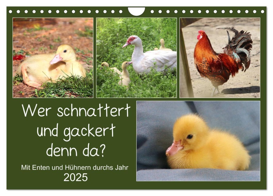 Wer gackert und schnattert denn da? Mit Enten und Hühnern durchs Jahr (Wandkalender 2025 DIN A4 quer), CALVENDO Monatskalender - Sabine Löwer