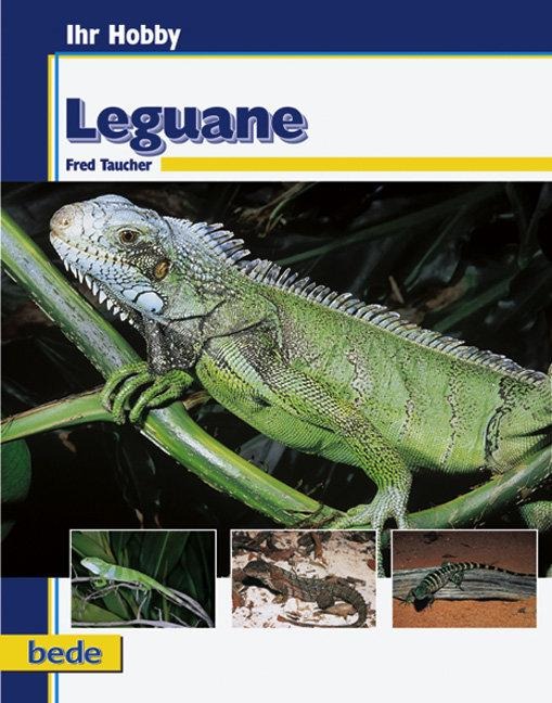 Ihr Hobby Leguane - Fred Taucher