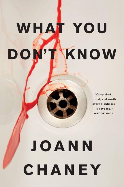 What You Don't Know - Joann Chaney