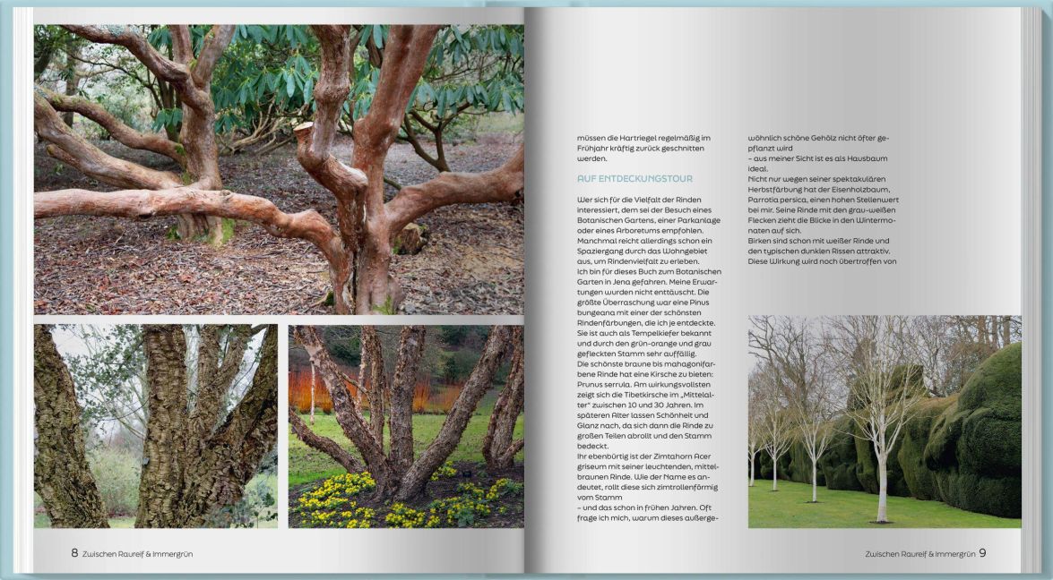 InsideView 4