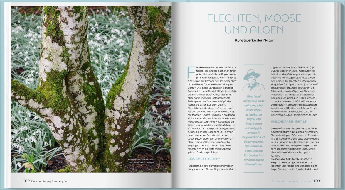InsideView 4