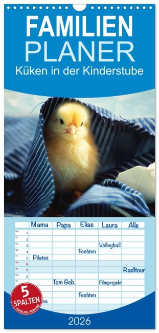 Familienplaner 2026 - Küken in der Kinderstube mit 5 Spalten (Wandkalender, 21 x 45 cm) CALVENDO - Tanja Riedel