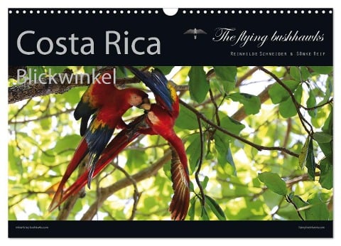 Costa Rica Blickwinkel 2024 (Wandkalender 2024 DIN A3 quer), CALVENDO Monatskalender - The Flying Bushhawks