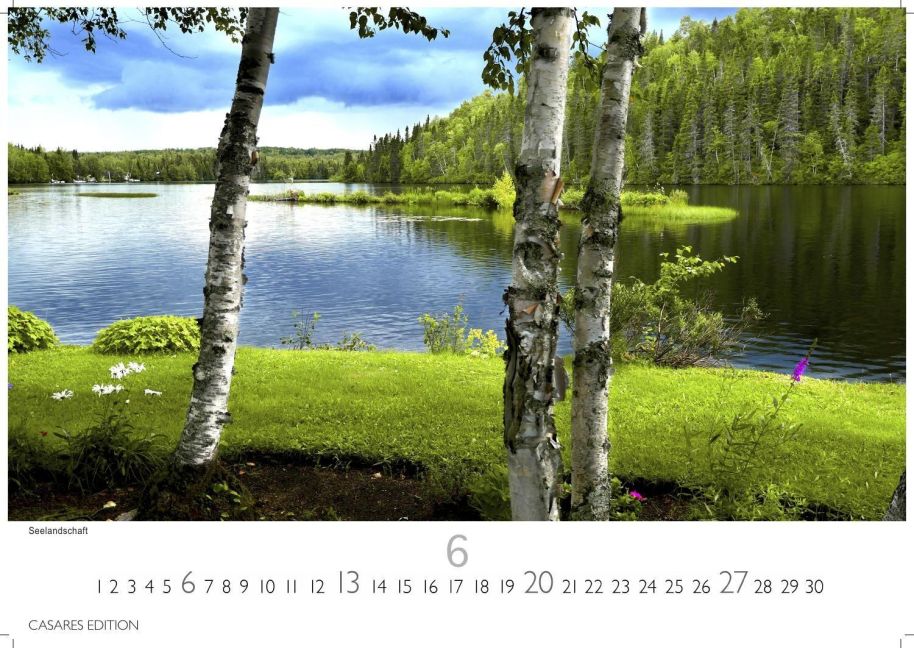 InsideView 6
