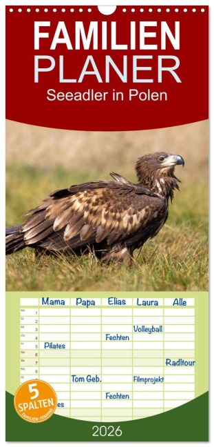 Familienplaner 2026 - Seeadler in Polen mit 5 Spalten (Wandkalender, 21 x 45 cm) CALVENDO - Stephan Peyer