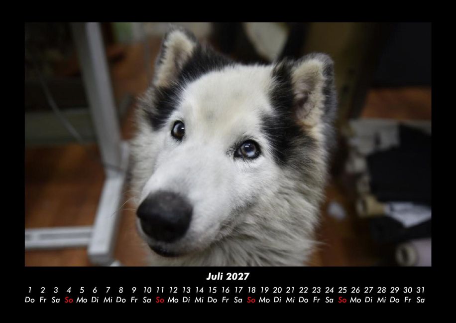 InsideView 11