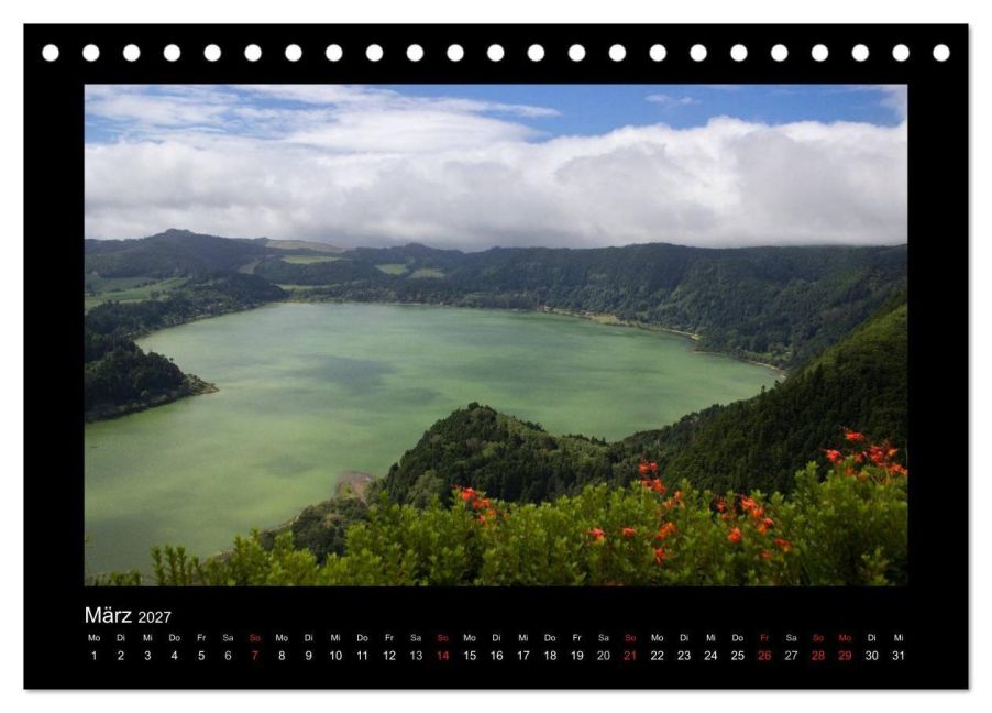 InsideView 8