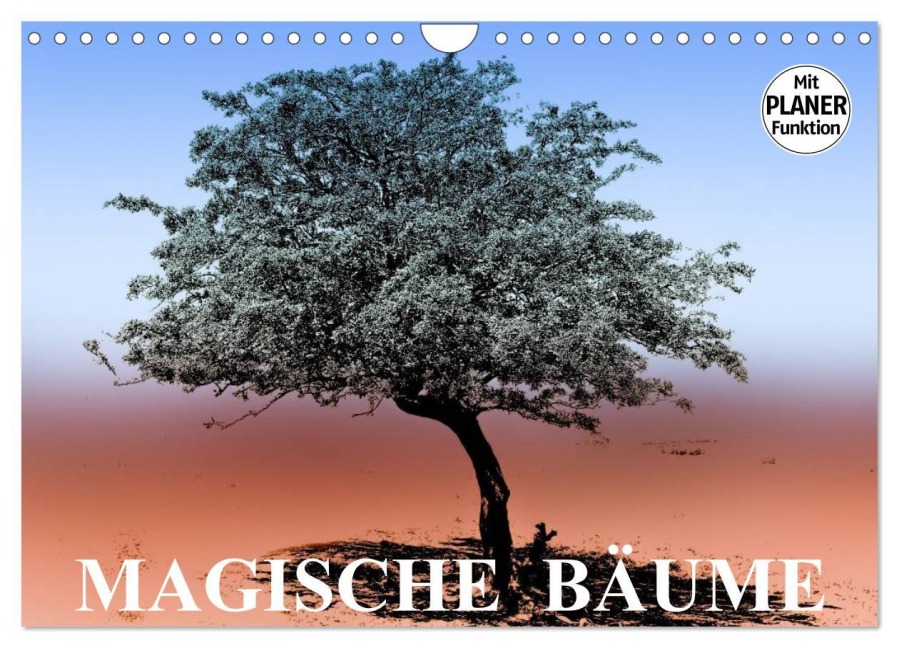 Magische Bäume (Wandkalender 2025 DIN A4 quer), CALVENDO Monatskalender - Elisabeth Stanzer