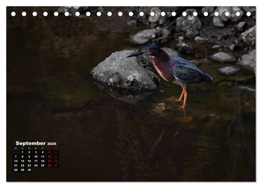 InsideView 14