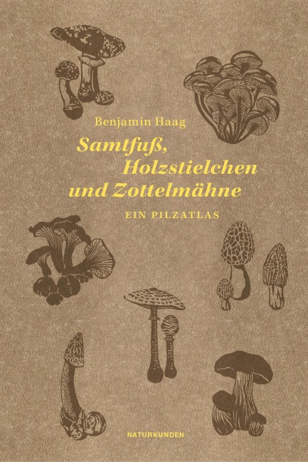 Samtfuß, Holzstielchen und Zottelmähne - Benjamin Haag