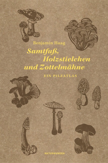 Samtfuß, Holzstielchen und Zottelmähne - Benjamin Haag