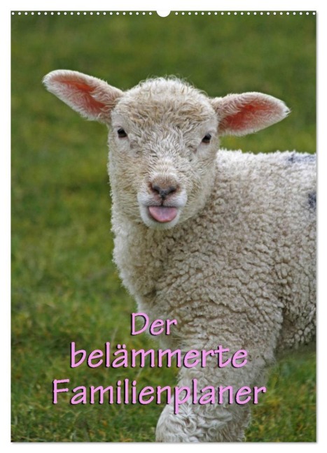 Der belämmerte Familienplaner (Wandkalender 2026 DIN A2 hoch), CALVENDO Monatskalender - Antje Lindert-Rottke