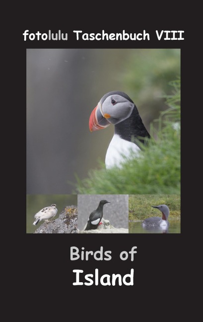 Birds of Island - Fotolulu