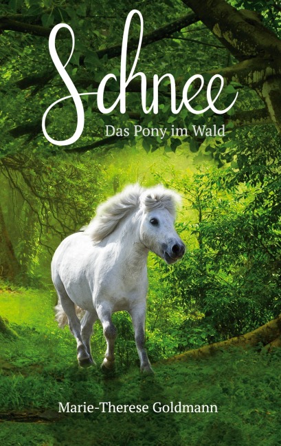 Schnee - Marie-Therese Goldmann