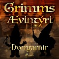 Cover-Bild zum Titel 'Dvergarnir' von 'Grimmsbræður'