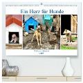Ein Herz für Hunde - Wachhunde in Russland (hochwertiger Premium Wandkalender 2024 DIN A2 quer), Kunstdruck in Hochglanz - Henning von Löwis of Menar