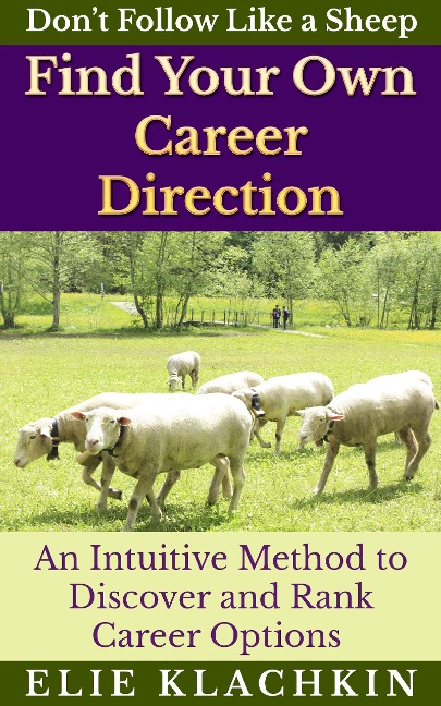 An Intuitive Method to Discover and Rank Career Options - Elie Klachkin