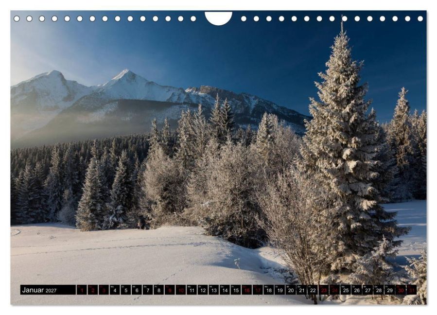 InsideView 6