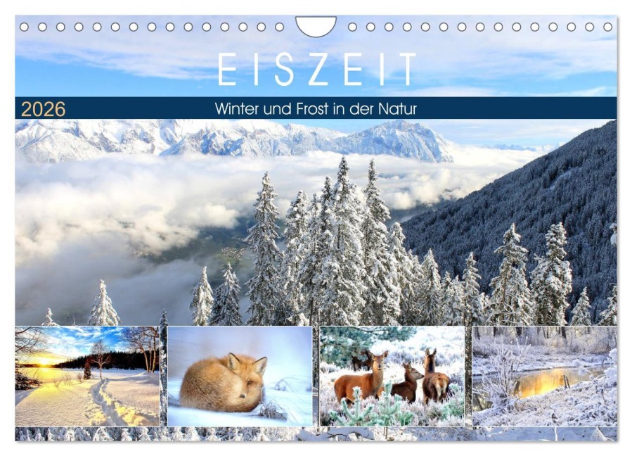 Eiszeit. Winter und Frost in der Natur (Wandkalender 2026 DIN A4 quer), CALVENDO Monatskalender - Rose Hurley