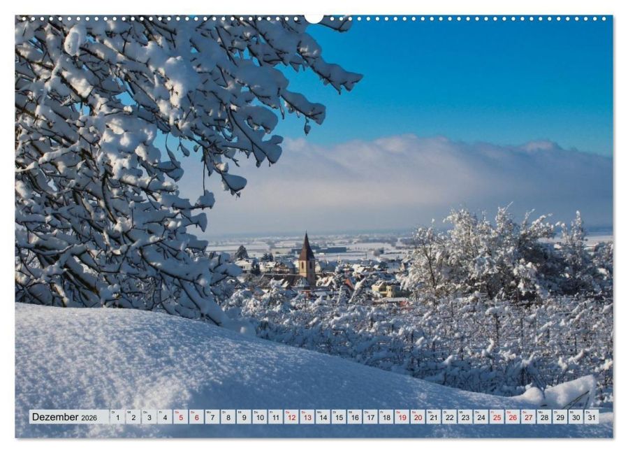 InsideView 4
