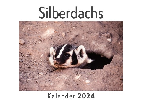 Silberdachs (Wandkalender 2024, Kalender DIN A4 quer, Monatskalender im Querformat mit Kalendarium, Das perfekte Geschenk) - Anna Müller