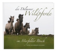 Cover-Bild zum Titel 'Die Dülmener Wildpferde in Merfelder Bruch' von 'Jörg Gierse'