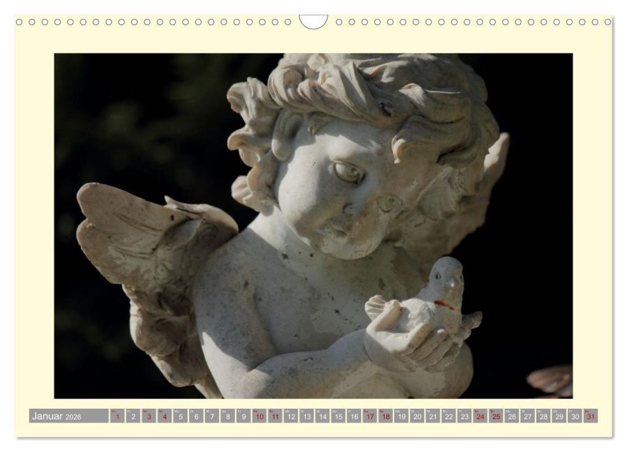 InsideView 6