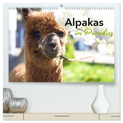 Cover-Bild zum Titel 'Alpakas im Paradies (hochwertiger Premium Wandkalender 2026 DIN A2 quer), Kunstdruck in Hochglanz' von 'Heidi Rentschler'