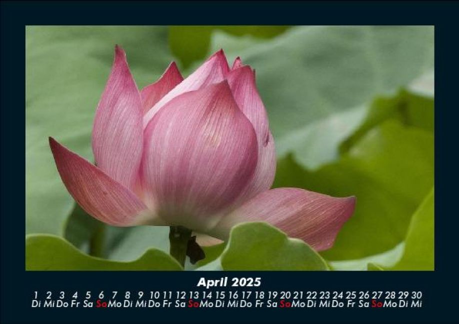 InsideView 8