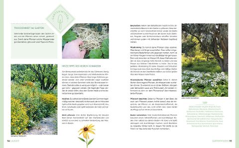 InsideView 4