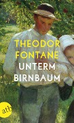 Cover-Bild zum Titel 'Unterm Birnbaum' von 'Theodor Fontane'