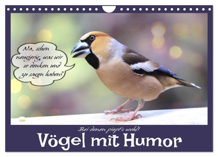 Vögel mit Humor (Wandkalender 2025 DIN A4 quer), CALVENDO Monatskalender - Sabine Löwer