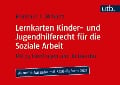 Lernkarten Kinder- und Jugendhilferecht für die Soziale Arbeit - Reinhard J. Wabnitz