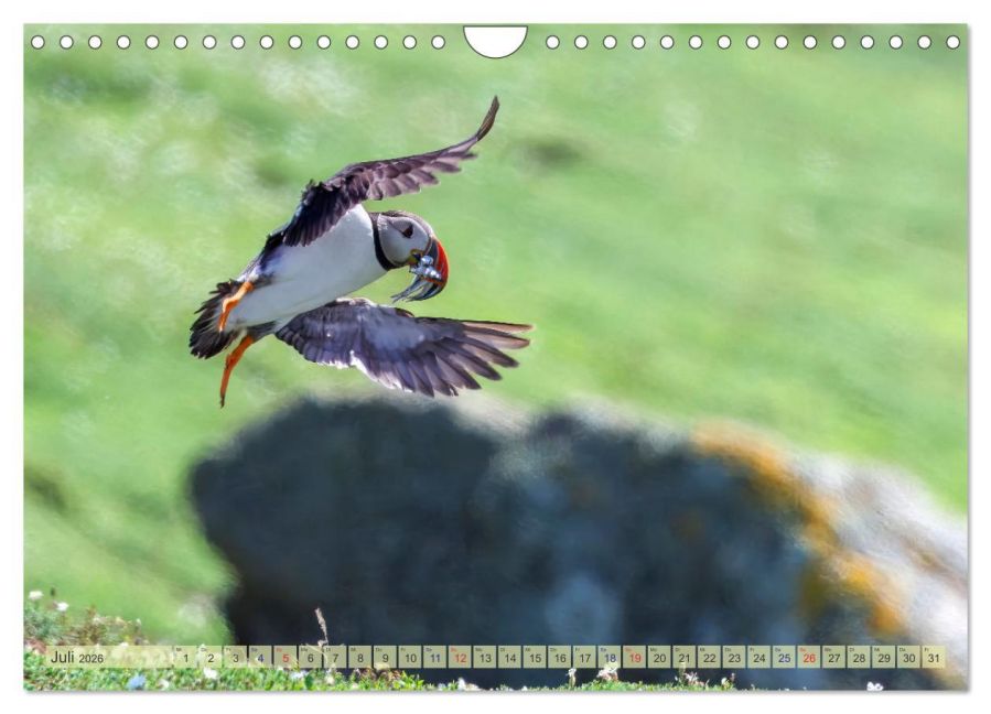 InsideView 12