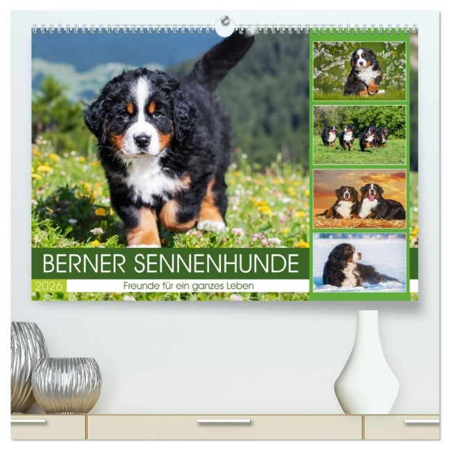 Berner Sennenhunde - Freunde für ein ganzes Leben (hochwertiger Premium Wandkalender 2026 DIN A2 quer), Kunstdruck in Hochglanz - 