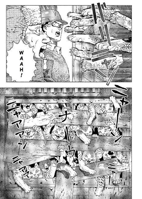 InsideView 4