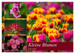 Kleine Blumen ganz groß (Wandkalender 2026 DIN A2 quer), CALVENDO Monatskalender - M. Reznicek