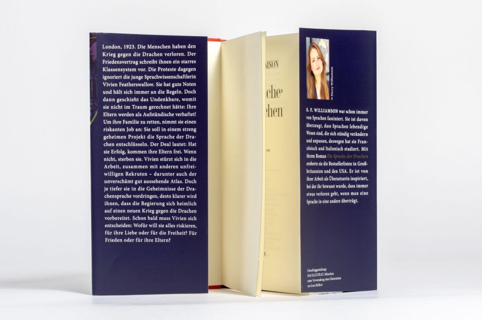 InsideView 6