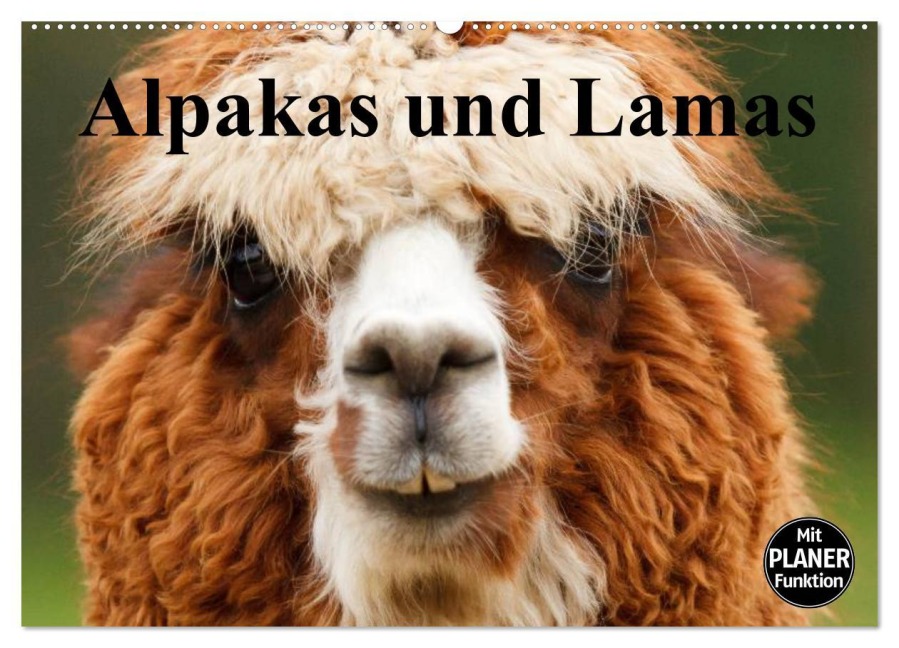Alpakas und Lamas (Wandkalender 2026 DIN A2 quer), CALVENDO Monatskalender - Elisabeth Stanzer