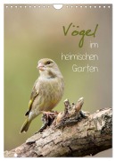 Cover-Bild zum Titel 'Vögel im heimischen Garten (Wandkalender 2026 DIN A4 hoch), CALVENDO Monatskalender' von 'Heidi Spiegler'